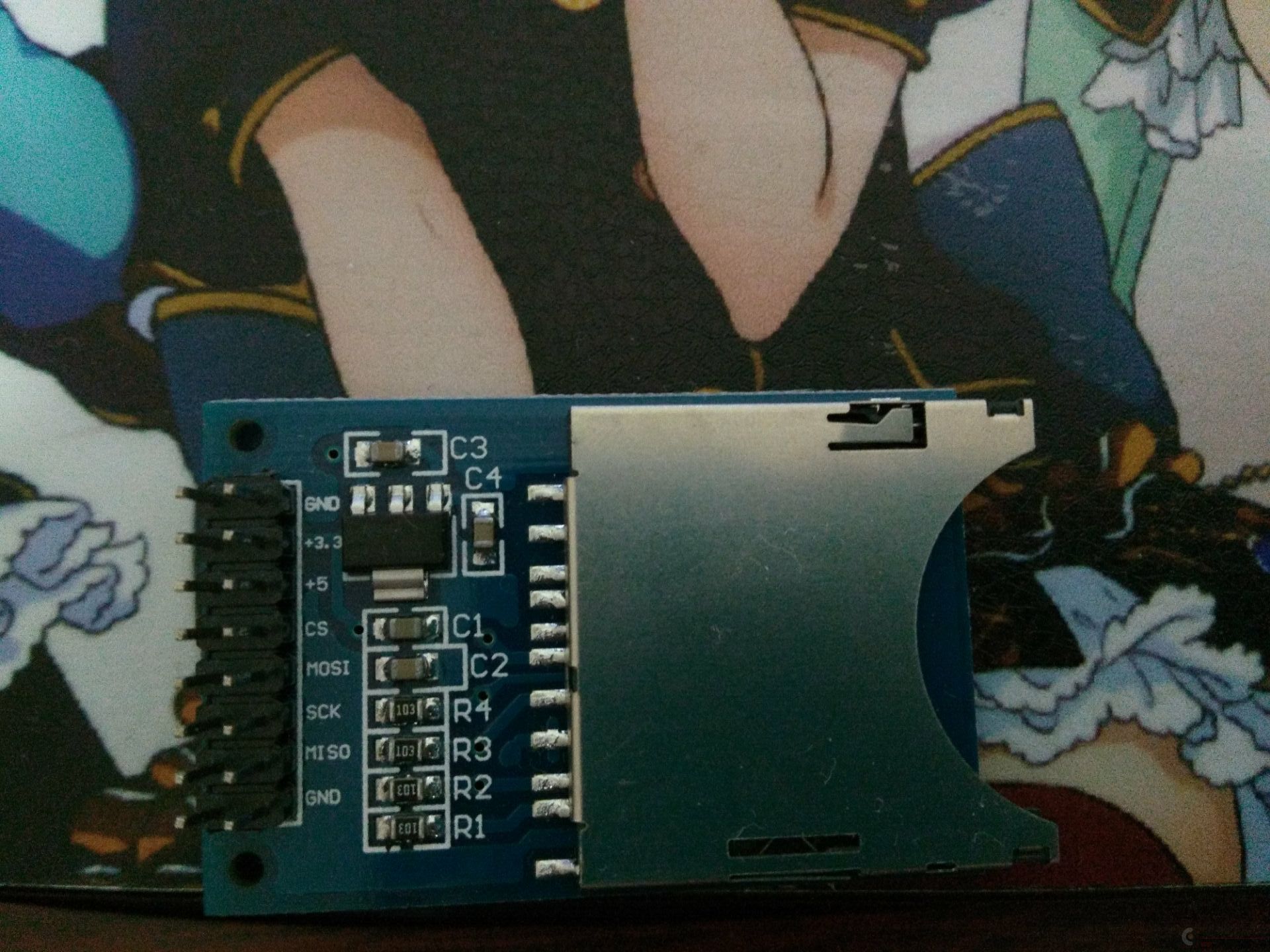 111.jpg