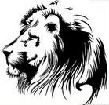  liongt