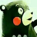  高老湿