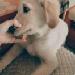  weixin_43616727