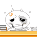 240