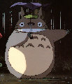 240