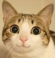 240